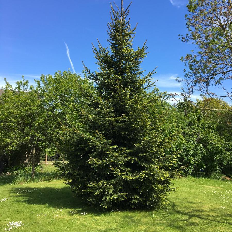 Saint-Lambert  Lieu Dit Le Jardin מראה חיצוני תמונה